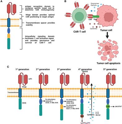 Utility and Drawbacks of Chimeric Antigen Receptor T Cell (CAR-T) Therapy in Lung Cancer